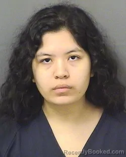 Mugshot of ALANA JACQUELINE HAINES booked in Palm Beach County, Florida on April 22, 2026