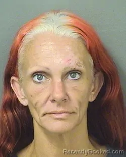 Mugshot of HEATHER MARIE DEFEE booked in Palm Beach County, Florida on April 22, 2026