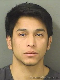 Mugshot of DEYNIELS FREDDLY GONZALEZTINEO booked in Palm Beach County, Florida on April 23, 2026