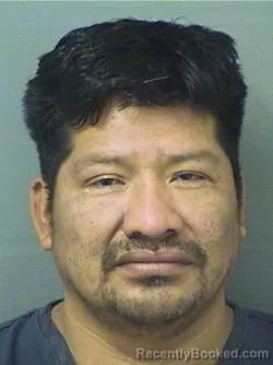 Mugshot of SAMUEL MORALESSALES booked in Palm Beach County, Florida on April 23, 2026