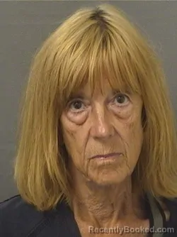 Mugshot of DOROTHY EMILY KULPA booked in Palm Beach County, Florida on April 23, 2026