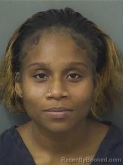 Mugshot of RHEYANA MARSHAE LEWIS booked in Palm Beach County, Florida on April 23, 2026