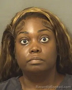 Mugshot of CHRISTA R KERR booked in Palm Beach County, Florida on April 24, 2026