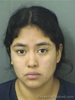 Mugshot of LESLEY VIDALINA RAMIREZSANCHEZ booked in Palm Beach County, Florida on April 24, 2026