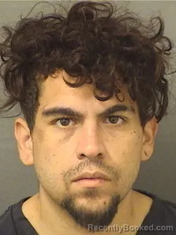 Mugshot of ANTHONY FRANCIS SIEBER booked in Palm Beach County, Florida on April 24, 2026