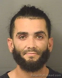 Mugshot of CARLOS JAVIER GONZALEZ booked in Palm Beach County, Florida on April 24, 2026