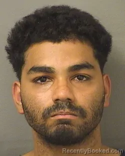 Mugshot of MICHAEL JESUS GONZALEZ booked in Palm Beach County, Florida on April 24, 2026