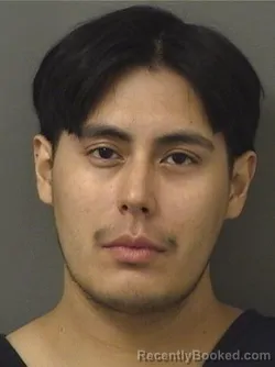 Mugshot of DELWIN GESERYANSEN REYESGONZALEZ booked in Palm Beach County, Florida on April 26, 2026