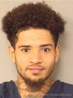 Booking photo from Palm Beach County, Florida