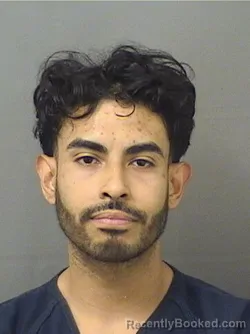 Booking photo from Palm Beach County, Florida