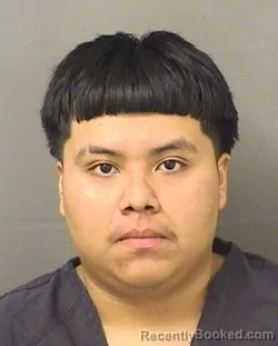 Mugshot of OSCAR MIGUEL ANDRES booked in Palm Beach County, Florida on May 11, 2026