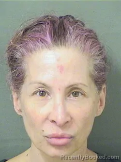 Mugshot of ROBYN SHULMAN booked in Palm Beach County, Florida on May 11, 2026