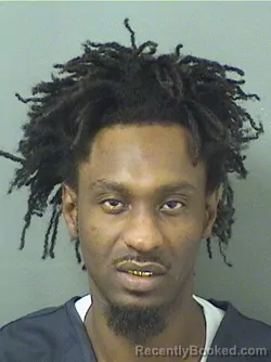 Mugshot of STEVE TERMONFILS booked in Palm Beach County, Florida on May 11, 2026