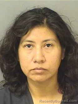 Mugshot of YOLANDA ALEJANDRA SAMPERIOPALAFOX booked in Palm Beach County, Florida on May 11, 2026