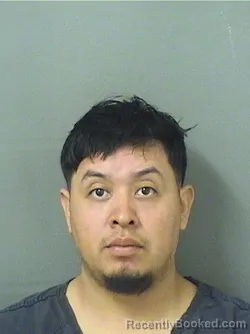 Mugshot of PATROCINIO ROBLEROROBLERO booked in Palm Beach County, Florida on May 14, 2026