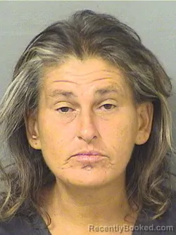 Mugshot of STEPHANIE QUINN STETTEN booked in Palm Beach County, Florida on May 14, 2026