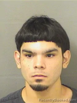 Mugshot of STEFAN GARCIA booked in Palm Beach County, Florida on May 16, 2026