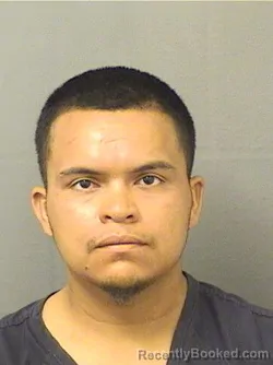 Mugshot of NEFTALI ALVAREZ GRANADOS booked in Palm Beach County, Florida on May 16, 2026