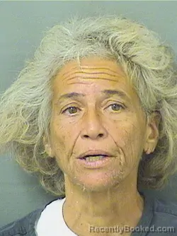 Mugshot of WENDY ANN TOGNACCI booked in Palm Beach County, Florida on May 16, 2026
