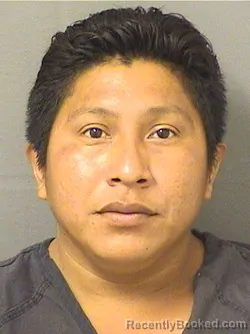 Mugshot of FREDMAN RAMON GONZALEZRODRIGUEZ booked in Palm Beach County, Florida on May 16, 2026