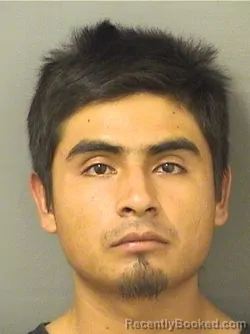 Mugshot of PABLO ANDRES PEREZGOMEZ booked in Palm Beach County, Florida on May 17, 2026