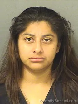 Mugshot of ROSARIO GONZALEZCAHVAJAY booked in Palm Beach County, Florida on May 17, 2026