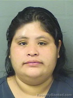 Mugshot of JUANA FRANCISCOPEREZ booked in Palm Beach County, Florida on May 18, 2026