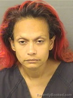 Mugshot of JOSEPHINA LEE MACIAS booked in Palm Beach County, Florida on May 18, 2026