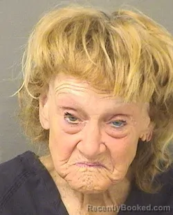 Mugshot of KAREN ELIZABETH CLARK booked in Palm Beach County, Florida on May 18, 2026