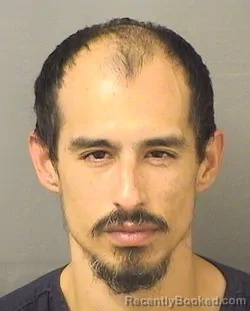 Mugshot of STEVEN LUIS DINETTA booked in Palm Beach County, Florida on May 18, 2026