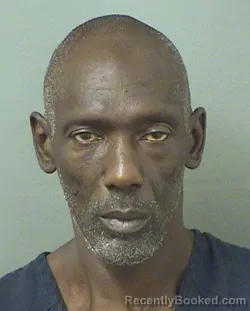 Mugshot of MICHAEL WILSON booked in Palm Beach County, Florida on May 19, 2026