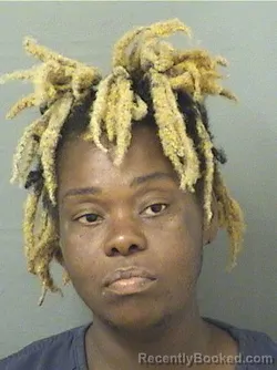 Booking photo from Palm Beach County, Florida
