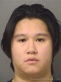 Booking photo from Palm Beach County, Florida