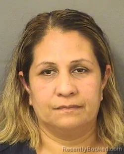 Mugshot of ILCY YANETH MORADELRODRIGUEZ booked in Palm Beach County, Florida on June 5, 2026