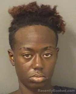Mugshot of APRIL BRUSSOLO CREMONA booked in Palm Beach County, Florida on June 5, 2026