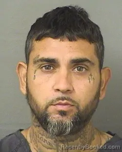 Mugshot of LUIS E MEJIARODRIGUEZ booked in Palm Beach County, Florida on June 5, 2026
