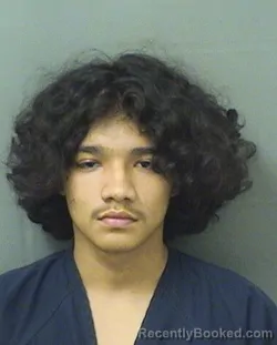 Mugshot of EMILIANO CASTRO booked in Palm Beach County, Florida on June 6, 2026