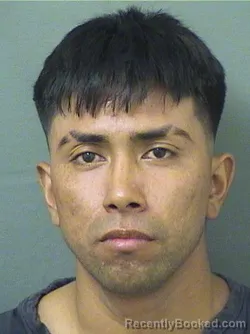 Mugshot of DARLYN YEFRI MORALESLOPEZ booked in Palm Beach County, Florida on June 7, 2026