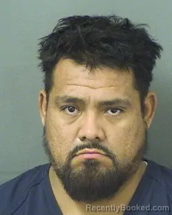 Mugshot of JOSE ANGEL HERNANDEZMALTEZ booked in Palm Beach County, Florida on June 7, 2026