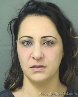 Mugshot of DINA M ARABIAT booked in Palm Beach County, Florida on June 7, 2026