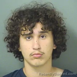 Mugshot of JACK HENRY BESSON booked in Palm Beach County, Florida on June 7, 2026
