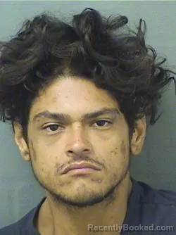 Mugshot of DAVID CORADO booked in Palm Beach County, Florida on June 7, 2026