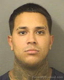 Mugshot of ANGEL IZNAGA booked in Palm Beach County, Florida on June 8, 2026