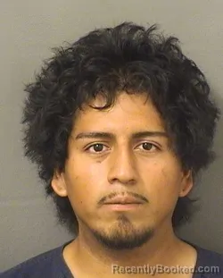 Mugshot of JANCARLOS DAVIDSON VILLANUEVA booked in Palm Beach County, Florida on June 8, 2026