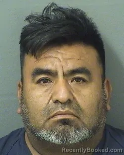 Mugshot of JOSE ANTONIO LADINORAMOS booked in Palm Beach County, Florida on June 8, 2026