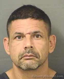 Mugshot of JONATHAN DANOVICH booked in Palm Beach County, Florida on June 9, 2026