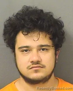 Mugshot of CHANDLER LEVESQUE booked in Palm Beach County, Florida on June 9, 2026