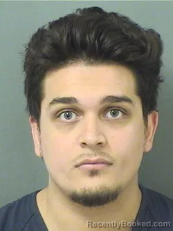 Mugshot of DAVID JAMES PERSAUD booked in Palm Beach County, Florida on June 9, 2026