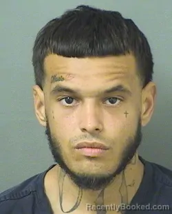 Mugshot of JORDAN JOSE CAMLICHE booked in Palm Beach County, Florida on June 9, 2026