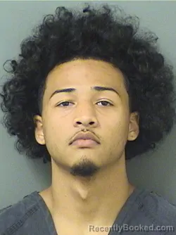 Mugshot of ANDRE KESHAWN MCDUFFIE booked in Palm Beach County, Florida on June 9, 2026